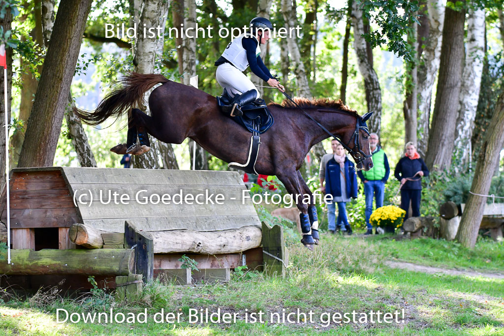 Mechtersen Herbstvielseitigkeit 2023 | 23092023 Mechtersen CCI2 _060