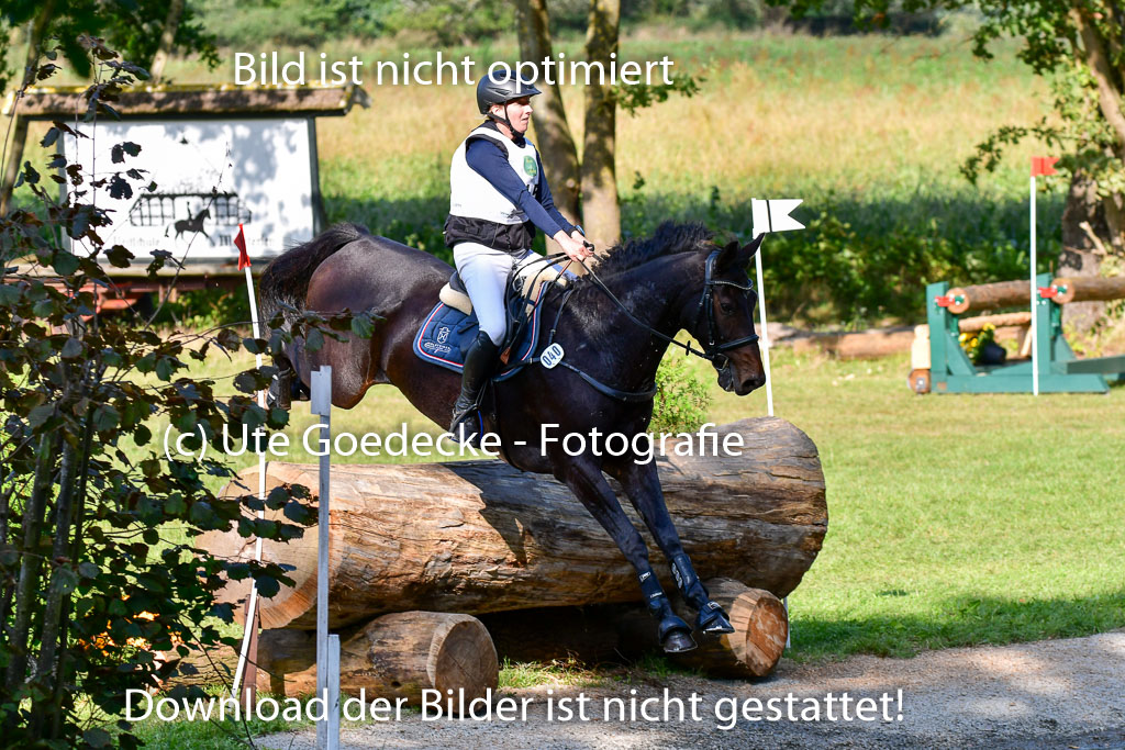 Mechtersen Herbstvielseitigkeit 2023 | 23092023 Mechtersen CCI2 _064