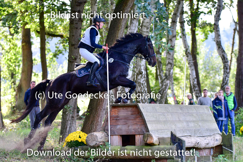Mechtersen Herbstvielseitigkeit 2023 | 23092023 Mechtersen CCI2 _065