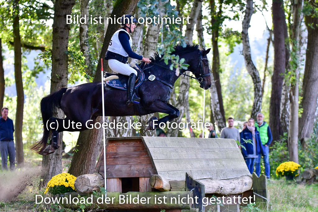 Mechtersen Herbstvielseitigkeit 2023 | 23092023 Mechtersen CCI2 _066