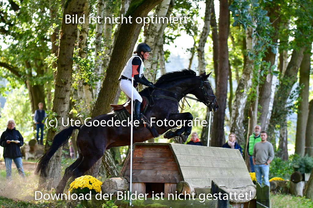 Mechtersen Herbstvielseitigkeit 2023 | 23092023 Mechtersen CCI2 _072