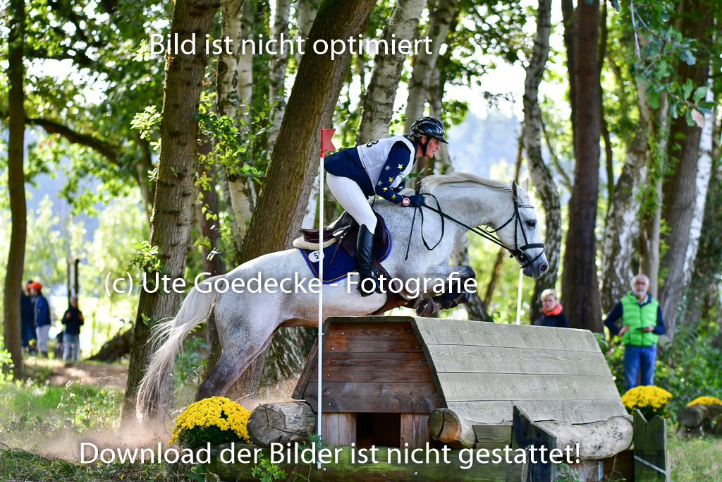 Mechtersen Herbstvielseitigkeit 2023 | 23092023 Mechtersen CCI2 _074