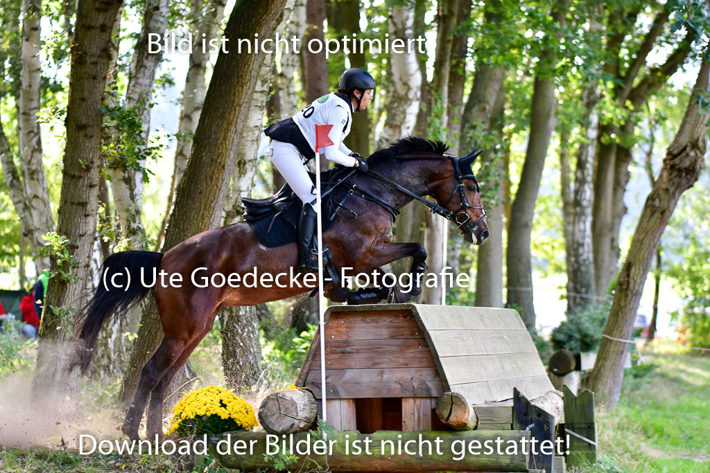 Mechtersen Herbstvielseitigkeit 2023 | 23092023 Mechtersen CCI2 _078