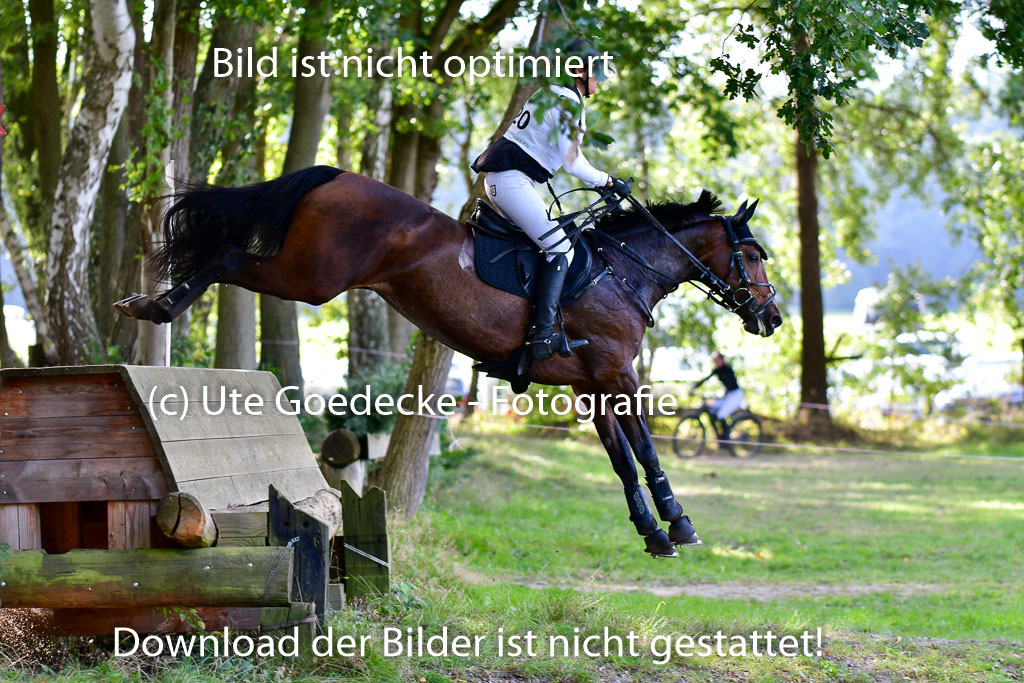 Mechtersen Herbstvielseitigkeit 2023 | 23092023 Mechtersen CCI2 _080