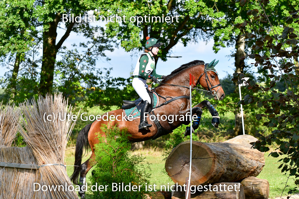 Mechtersen Herbstvielseitigkeit 2023 | 23092023 Mechtersen CCI2 _091