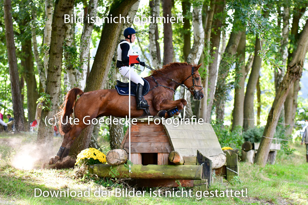 Mechtersen Herbstvielseitigkeit 2023 | 23092023 Mechtersen CCI2 _095