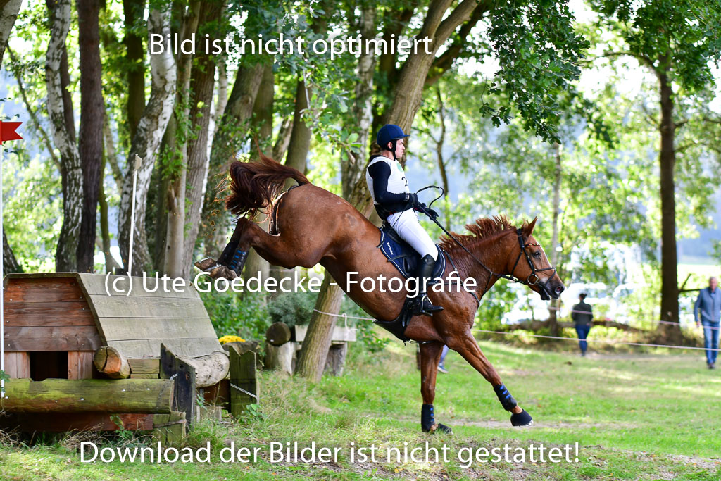 Mechtersen Herbstvielseitigkeit 2023 | 23092023 Mechtersen CCI2 _097