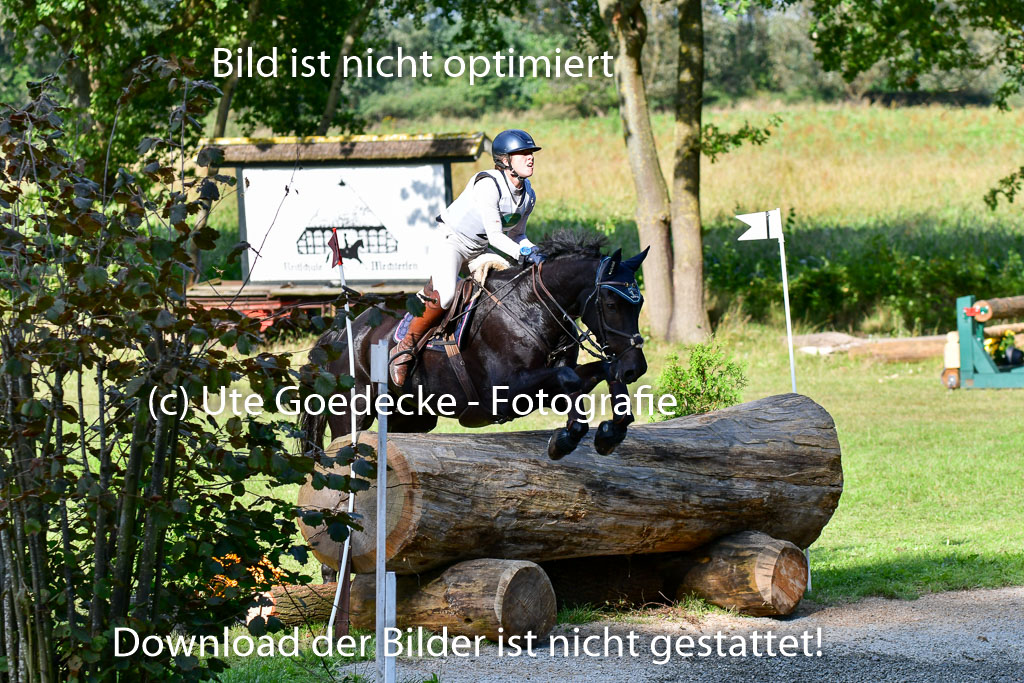 Mechtersen Herbstvielseitigkeit 2023 | 23092023 Mechtersen CCI2 _105