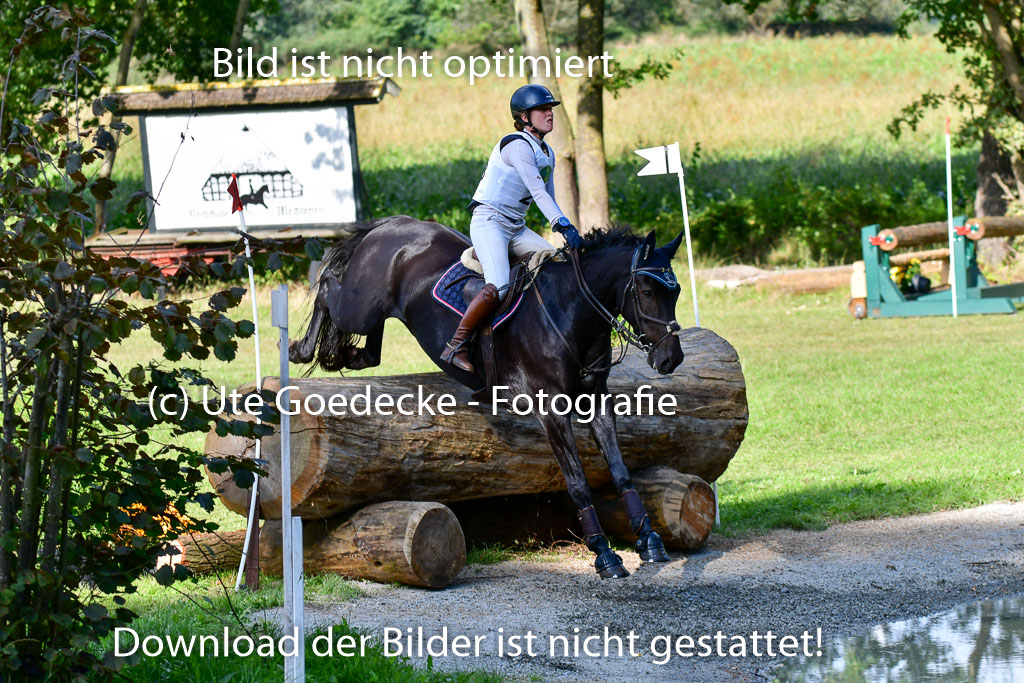 Mechtersen Herbstvielseitigkeit 2023 | 23092023 Mechtersen CCI2 _106