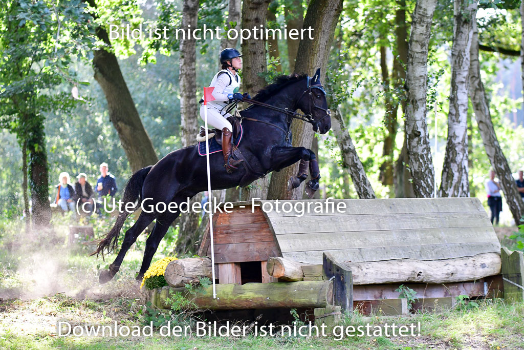 Mechtersen Herbstvielseitigkeit 2023 | 23092023 Mechtersen CCI2 _109