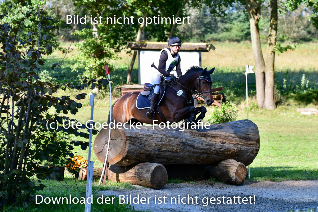 Mechtersen Herbstvielseitigkeit 2023 | 23092023 Mechtersen CCI2 _120
