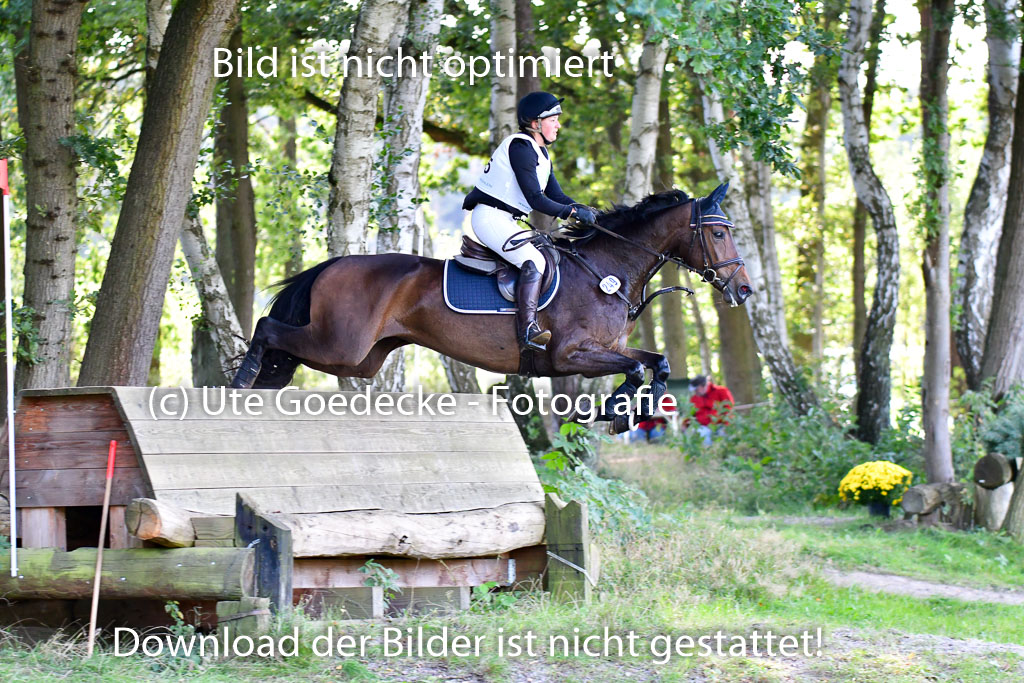 Mechtersen Herbstvielseitigkeit 2023 | 23092023 Mechtersen CCI2 _125