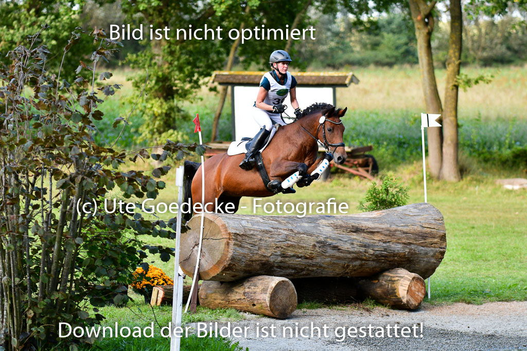 Mechtersen Herbstvielseitigkeit 2023 | 23092023 Mechtersen CCI2 _128