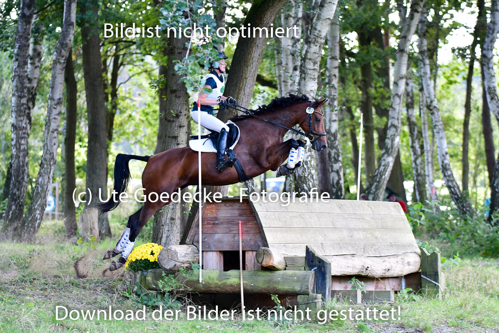 Mechtersen Herbstvielseitigkeit 2023 | 23092023 Mechtersen CCI2 _131
