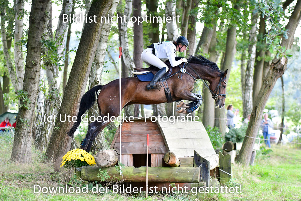 Mechtersen Herbstvielseitigkeit 2023 | 23092023 Mechtersen CCI2 _140