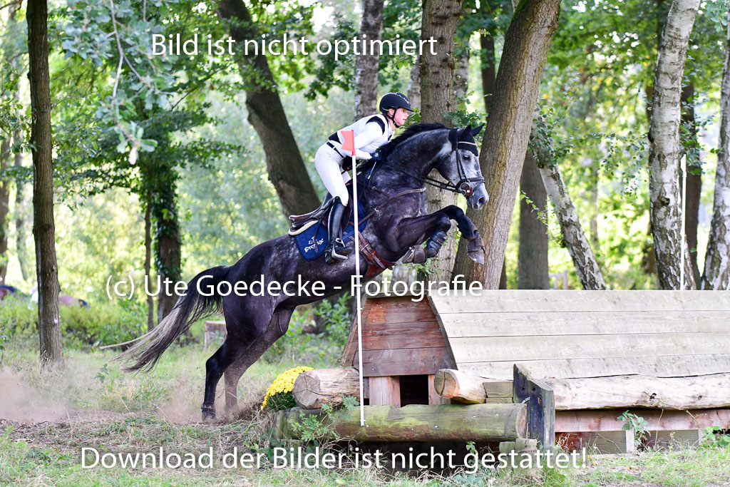 MechtersenHerbstvielseitigkeit 2023 | 23092023 Mechtersen CCI2 _230