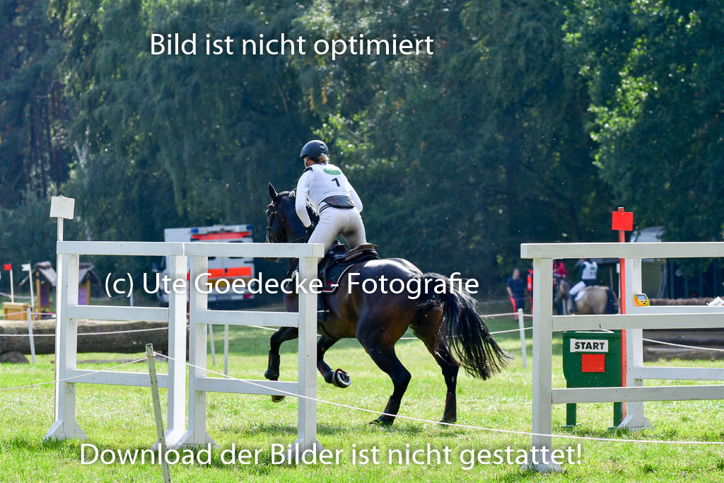 Mechtersen Herbstvielseitigkeit 2023 | 23092023 Mechtersen CCI2