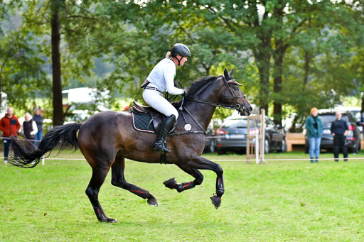 Mechtersen  Herbstvielseitigkeit 2023 | 23092023  Mechtersen CCI2 _005 