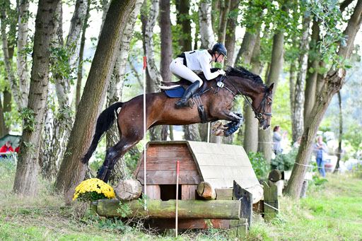 Mechtersen  Herbstvielseitigkeit 2023 | 23092023  Mechtersen CCI2 _140 