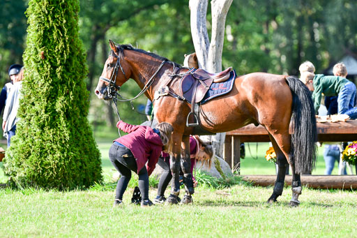 Mechtersen  Herbstvielseitigkeit 2023 | 23092023  Mechtersen CCI2 _159 
