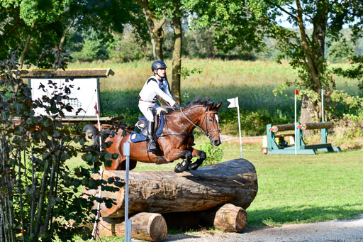 Mechtersen  Herbstvielseitigkeit 2023 | 23092023  Mechtersen CCI2 _208 