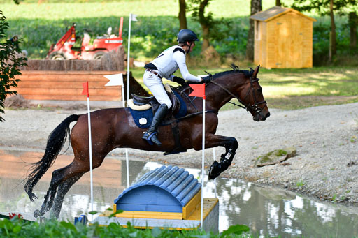 Mechtersen  Herbstvielseitigkeit 2023 | 23092023  Mechtersen CCI2 _212 