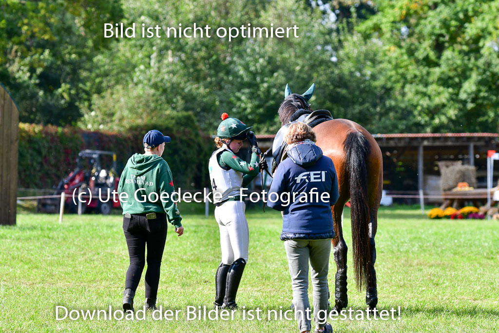Mechtersen Herbstvielseitigkeit 2023 | 230923 Impressionen _25