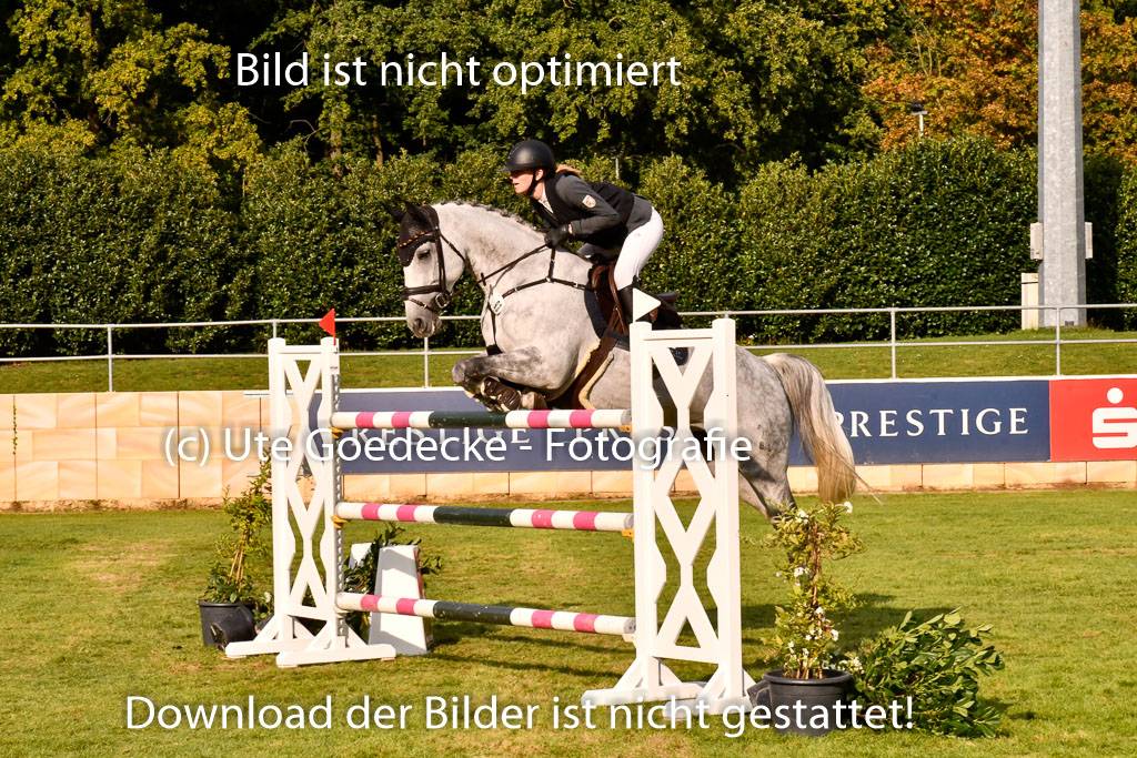  | Bade, Vica Sophie - Chades of Grey 09-24_01 