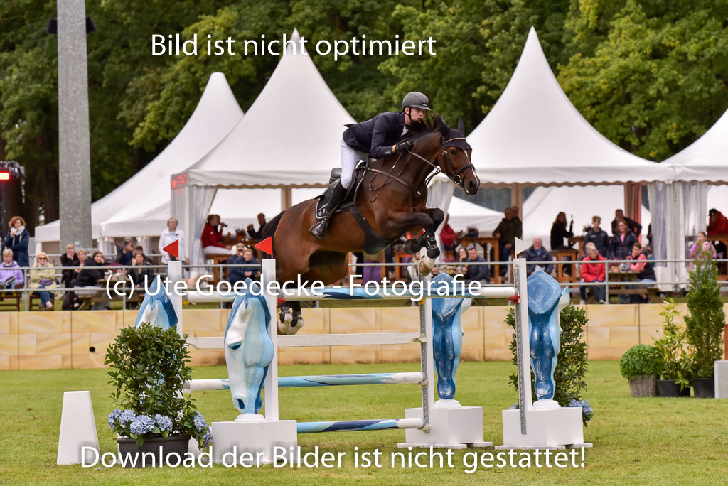  | Baum, Moritz - All in - 09-2024_19 