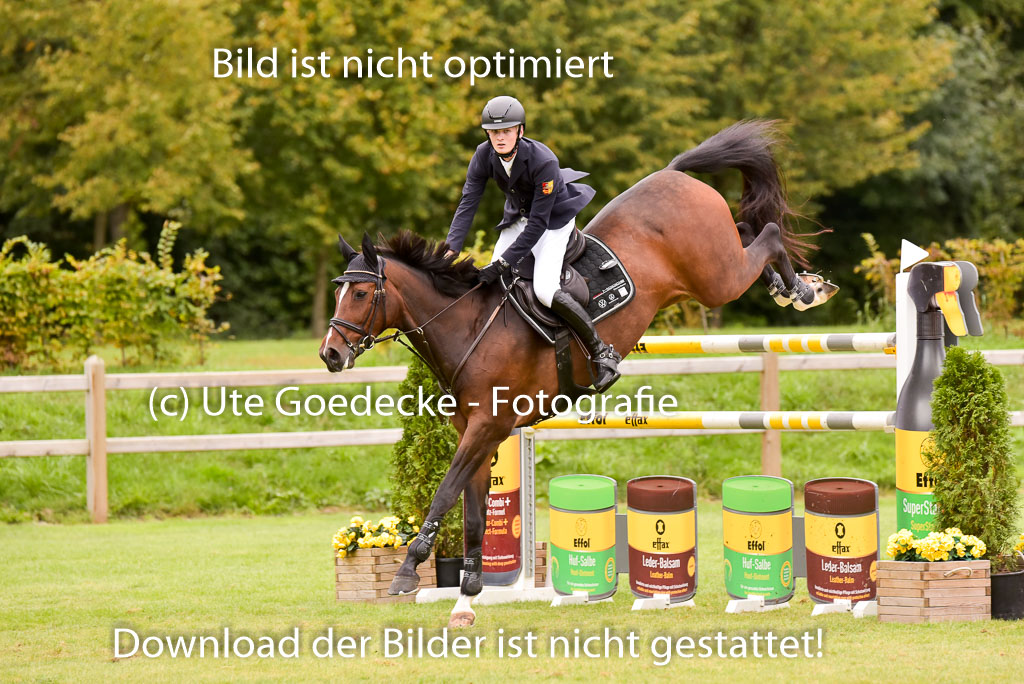  | Baum, Moritz - All in - 09-2024_24 