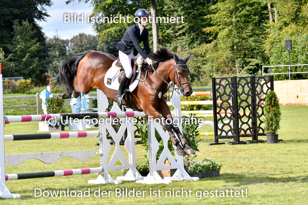  | Biermann, Eske - Quirinius 9-24 _18 