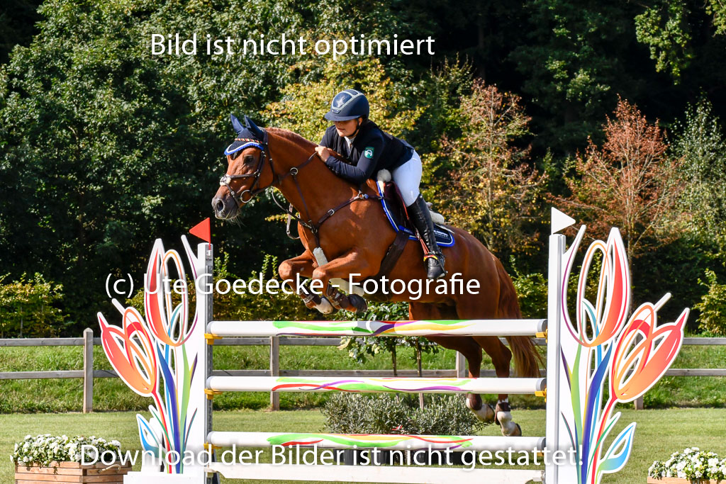  | Blandfort, Hannah - Karim van Orchid 9-24 _05 