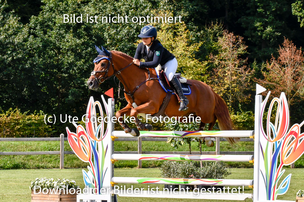  | Blandfort, Hannah - Karim van Orchid 9-24 _06 