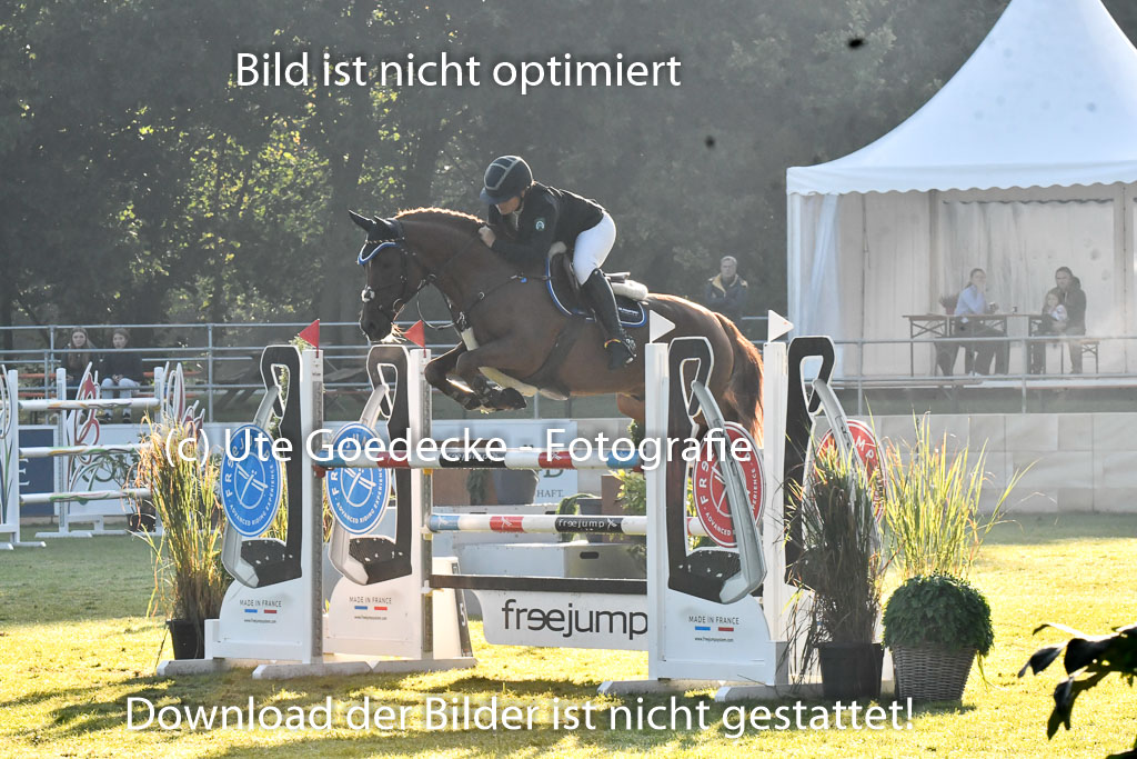  | Blandfort, Hannah - Karim van Orchid 9-24 _13 