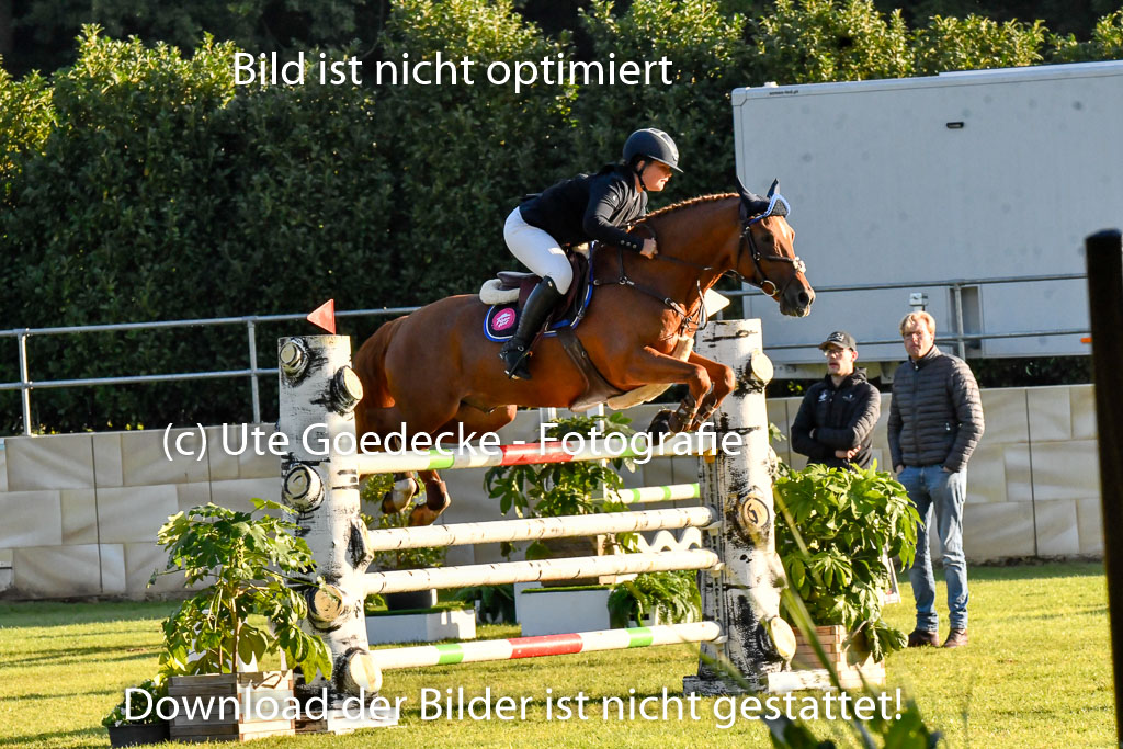  | Blandfort, Hannah - Karim van Orchid 9-24 _19 