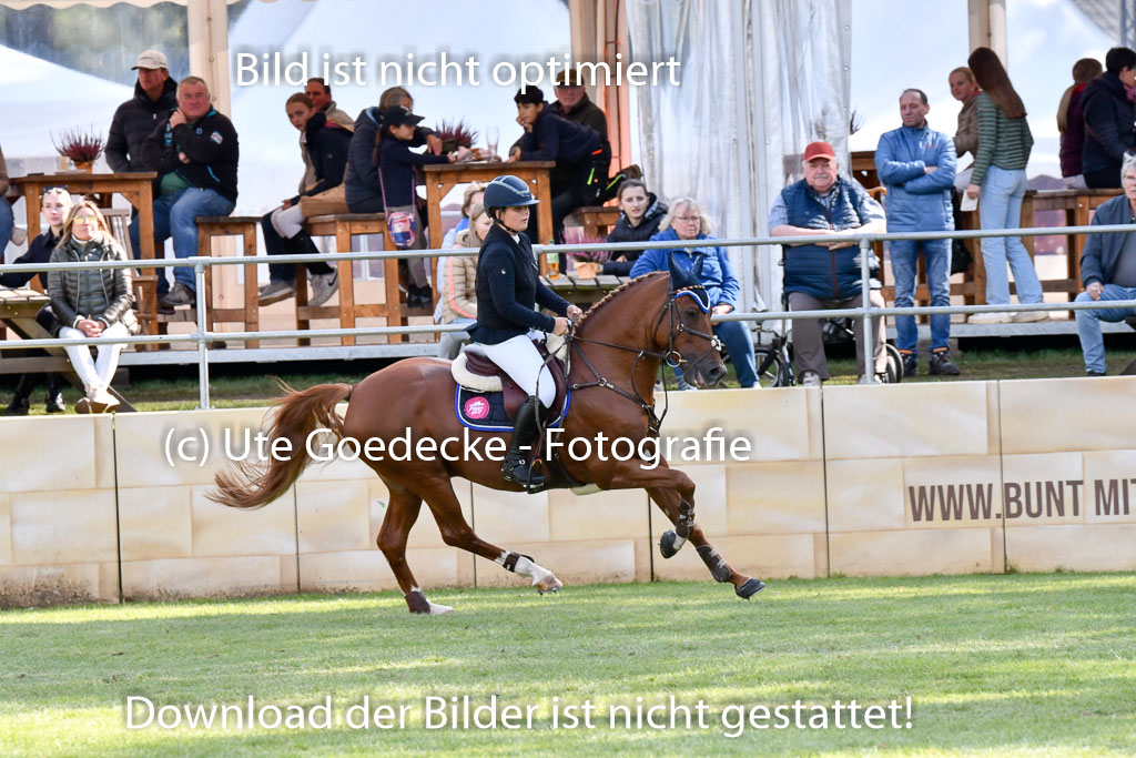  | Blandfort, Hannah - Karim van Orchid 9-24 