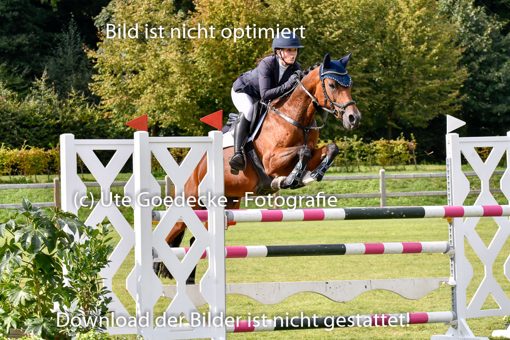  | Brandt, Anais - Melly 9-24 _10 