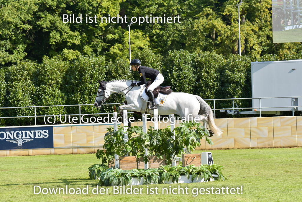  | Brugger, Mia Cara - Incognito 9-24 _06 