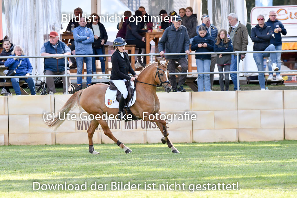  | Dreyer, Fremke - Kiwi Royal 9-24 