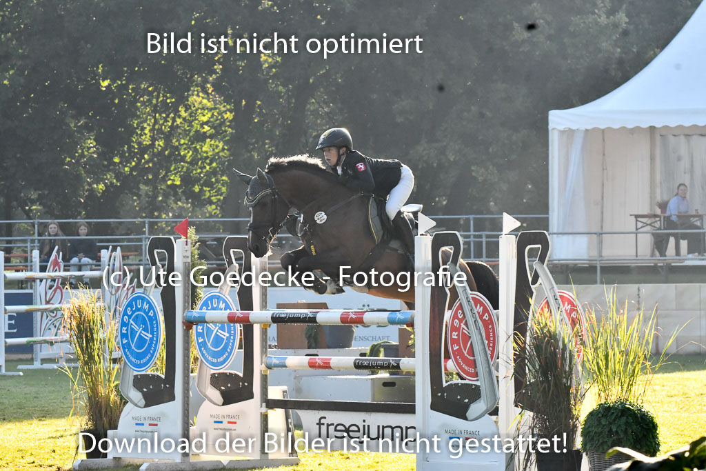  | Fallenberg, Joost Big Star 9-24_02 