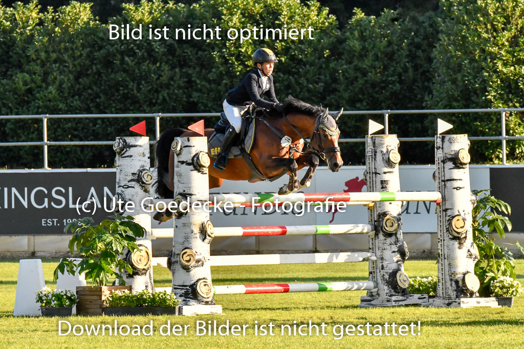 | Fallenberg, Joost Big Star 9-24_04 
