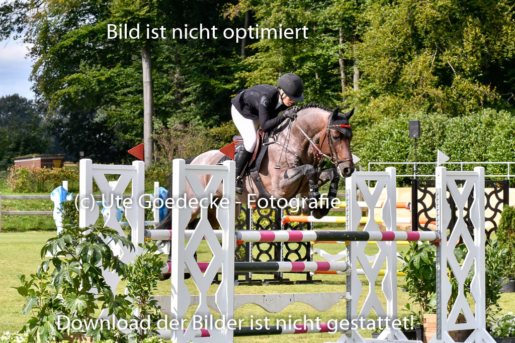  | Ferch, Ava - Cookie dough 9-24_11 