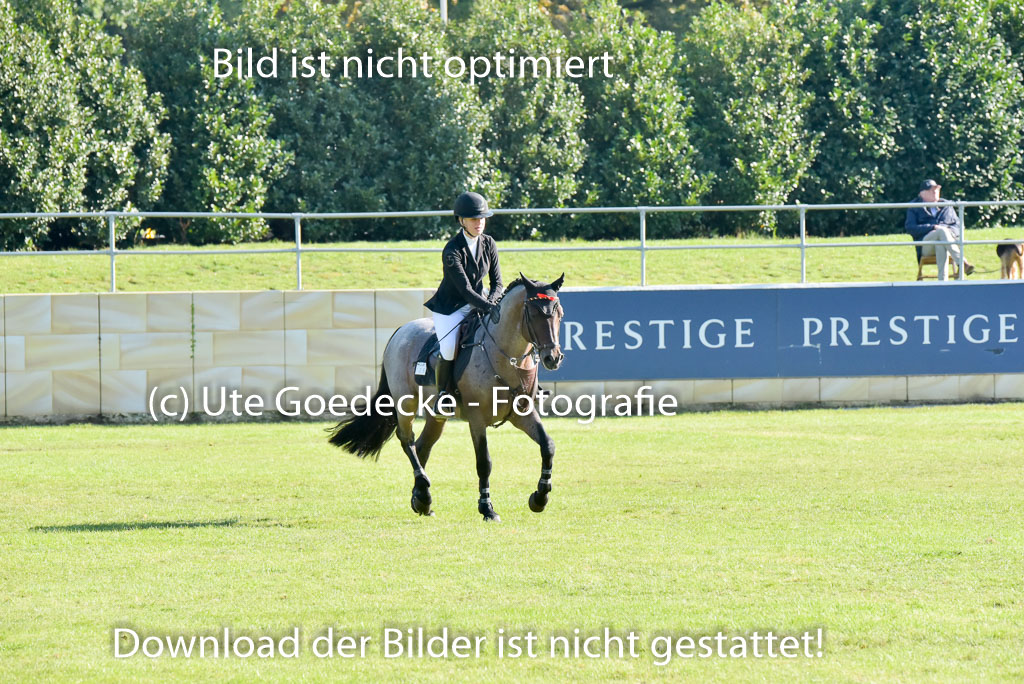  | Ferch, Ava - Cookie dough 9-24_18 