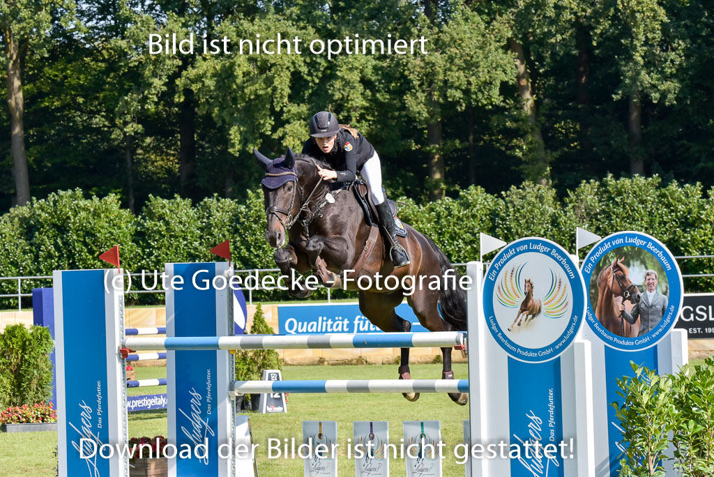  | Fink, Charlotte - Stallone Gold 9-24_04 