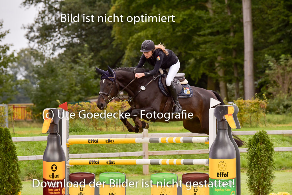  | Fink, Charlotte - Stallone Gold 9-24_12 