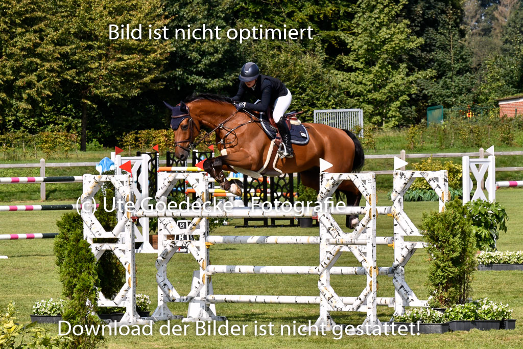  | Flick, Marie - Ciro 9-24 