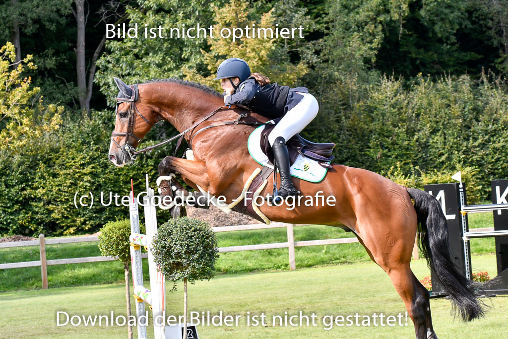  | Gaitanides, Anastasia - Casadellos Boy 9-24_08 