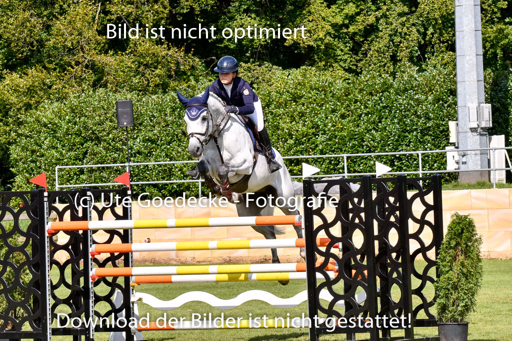  | Gellhorn, Lotta - Campino 9-24_3 