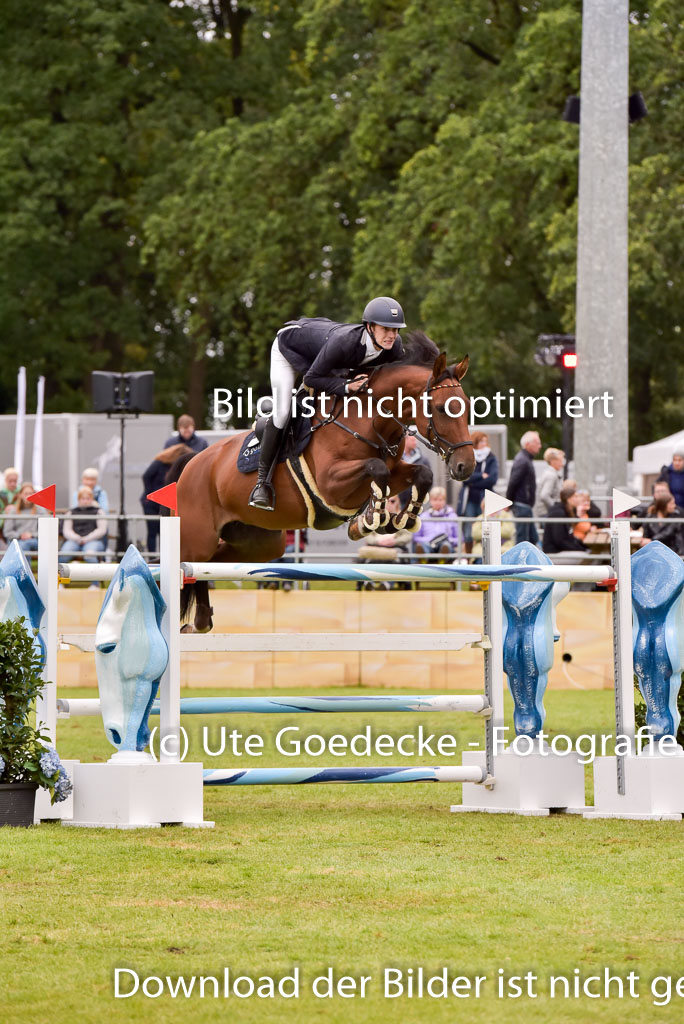  | Golle, Julien - Santa Sophia 9-24_17 