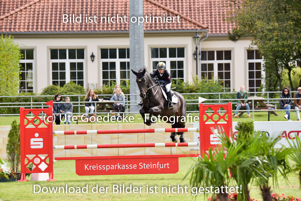  | Gripshöver, Lutz jun - Castellino 9-24 